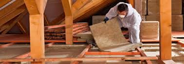 Best Attic Insulation Installation  in Moville, IA