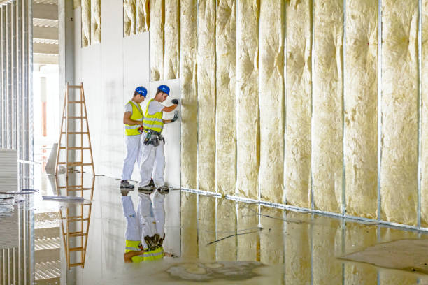 Best Wall Insulation Installation  in Moville, IA